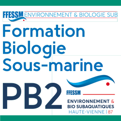 Formation Biologie sous-marine niveau 2 - plongeur bio 2 - PB2 - 2023