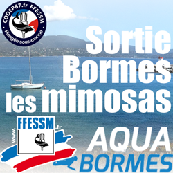 Sortie plongée Epaves & Tombants Bormes les Mimosas du 30 Juin au 7 Juillet 2018