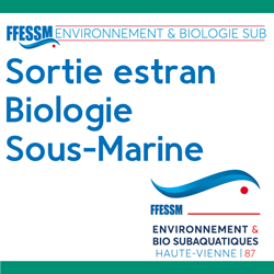 Environnement et bio subaquatiques - Sortie estran - 09 et 10 mars 2024 - sans hébergement