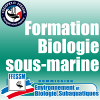 Formation Biologie sous-marine - Plongeur Bio 1 - INSCRIPTION A LA FORMATION