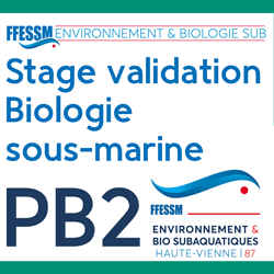 Stage pratique Plongeur bio niveau 2 - PB2 - septembre 2020