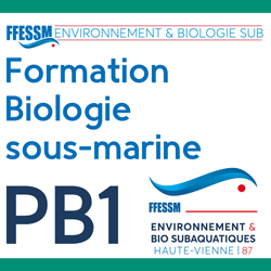  PB1 - 2021/2022 - Formation environnement et biologie subaquatique - Plongeur bio 1