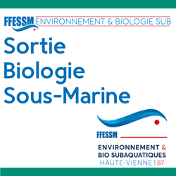 PB2 Stage - Formation environnement et biologie subaquatique - Plongeur Bio 2 - 27 au 29 mai 2023