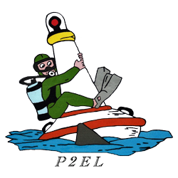 Logo club P2EL