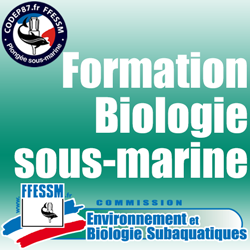 Formation Plongeur Bio 1